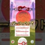 Dナックラー１３戦♪電気受け最強を狙え!!【ポケモンGO】