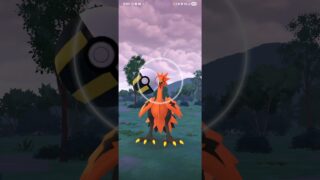Daily Incense till Shiny Galarian Bird Day 351 #pokemon #pokemongo #shiny #dailyincense #wildshiny