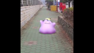 메타몽 ( Ditto ) メタモン ( 百變怪 )