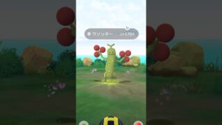 無課金で、ポケモンGO ウソッキー色違い　ゲットだぜ❗️