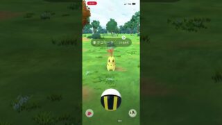 #ポケモンGO チコリータ　色違い