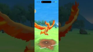 【ポケモンGO】　ハイパーリーグぶっっ刺さりー！！