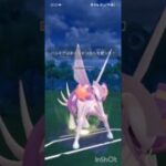 ポケモンGOバトルリーグ　マスターリーグ 1916