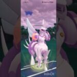 ポケモンGOバトルリーグ　マスターリーグ 1979