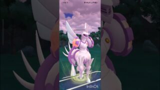 ポケモンGOバトルリーグ　マスターリーグ 1979