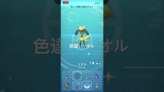 ポケモンGO  リプレイ：ふかの日イベント　2kmタマゴから色違いリオル孵化！ #ポケモン #pokémon #ポケモンgo