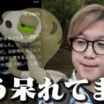 スナヘビ消失事件、どうすんのこれ【ポケモンGO】