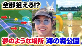 【ポケモンGO】ノノクラゲとウミディグダそしてガラルサニーゴ全部出現する公園！海の森公園でポケ活！！