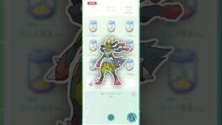 リオル、生みまくりました！【ポケモンGO】