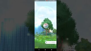 ポケモンGO！ラスト１投でカプ・テテフゲットだぜ！！
