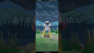 ポケモンGO　エクセレントスロー　ライコウ #excellent #ポケモンgo #pokemongo #ポケモン #pokemon