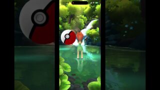 ポケモンGO 色違い ケルディオ 捕まえたら◯◯でした #ポケモンgo #ポケモンgo色違い #ケルディオ #色違いケルディオ