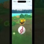 ポケモンGO、東京ドームピカチュウ、色違い出たが背景つかず、第二クール #ポケモンgo #pokemongo