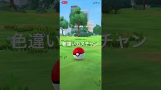 ポケモンGO 色違いカヌチャン出現！ #ポケモン #pokémon #ポケモンgo #pokemon