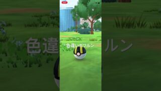 ポケモンGO 色違いポワルン(あまみずのすがた)出現！ #ポケモン #pokémon #ポケモンgo