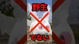 【ポケモンGO】グラサンサニーゴが出現しない理由は？ #shorts