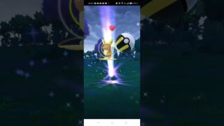 初心者のポケモンGO実況！