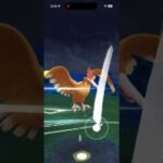 【GOバトルリーグなshort】ほぼミラーなのを見切ったから勝ちやすかった試合！！スーパーリーグ編【ポケモンGO】＃ポケモンGO　＃GOバトルリーグ