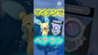 【ポケモンGO】マイナンが強すぎて余裕でベテラン行ったったwwwwwwwww(電気カップ)#ポケモンgo #goバトルリーグ #pokemongo #gbl #shorts