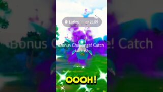 🔥HUNDO HATCH, BACK TO BACK SHINIES & 2 GALARIAN BIRDS!👀 Pokemon GO! #pokemongolive #pokemongo