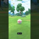 Kyogre | Pokémon Go.#shorts #PokemonGo