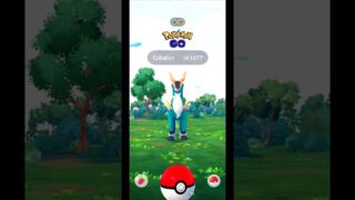 Legendary Luck! Catching Cobalion | Pokemon GO #Shorts #LegendaryPokemon