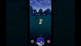 Mimikyu is FINALLY in Pokemon GO! 👻 in Pokemon GO #Shorts #ASMR #PokemonGO