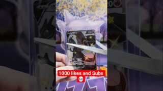 NO THIS IS GETTING EXPENSIVE… Stop 💀 #pokemon