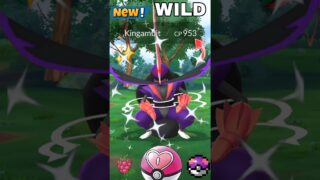 OMG🤯Wild✨️Kingambit Spawn Shock Me in Pokemon Go