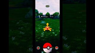 Pokemon GO: Catching Shuckle in the Wild! #Shorts #Shuckle #Gameplay