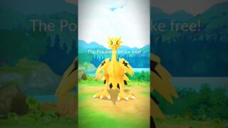 Pokemon GO #pokemon #pokemongo #pokemoncommunity #india #gamer #gaming #youtubeshorts #ytshorts