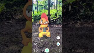 Rebellion Pokemon #351 #pokemon #ポケモン