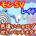 🔴【ポケモンSV】色違いニョロゾ配布レイド＋とくせいパッチメタモンレイド＋視聴者同士の交流所（攻略情報・レイド募集・ポケモン交換・ポケモン対戦・攻略情報など）2026年4月30日 深夜～