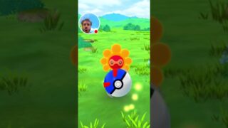 Shiny SUNNY Castform Catch in Pokemon GO! Shiny BOOSTED #pokemongo