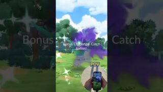 ✨Shiny Shadow LEGENDARY CAUGHT In Pokemon Go!✨ #shorts #pokemon