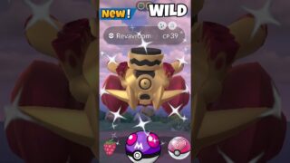 When I Got✨️Rare Wild Spawn in Pokemon Go