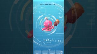 【カヌチャンコミュデイ】 #ポケモンgo #ポケモン