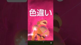 【色違いガーディ】 #ポケモン #ポケモンgo #ガーディ #ダイマックス