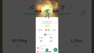 色違いメガルカリオ #ポケモンgo