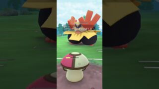 動画投稿サボり…､､ﾅ､ﾅﾝﾉｺﾄｶﾅ?#ポケモンgo好きと繋がりたい #ポケモンgoバトルリーグ