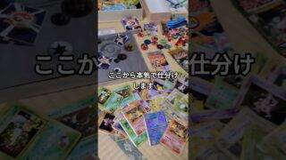 家に眠っていた旧裏ポケモンカードを、本気で調べて売っていきます。当時集めていたまま残っていたカードたちです。続きで仕分けしていきます。#ポケモンカード #旧裏 #ポケカ #pokemon