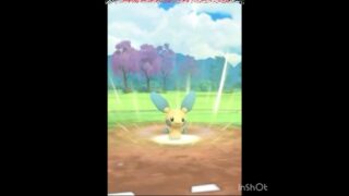 ゆけ⚡️マイナン⚡️