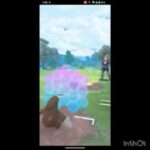 ファンタジーカップ【提供動画】