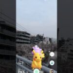 💐飾り　ピカチュウとメタモンが向かった先は？