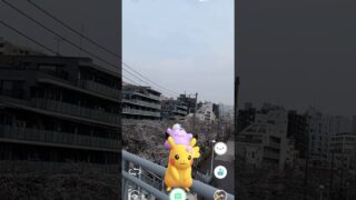 💐飾り　ピカチュウとメタモンが向かった先は？