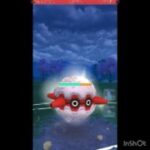 色んなポケモン使うぞ💨