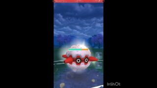 色んなポケモン使うぞ💨