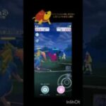 じゃれつく型ザシアンだからこその活躍！