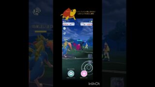 じゃれつく型ザシアンだからこその活躍！