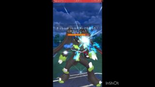 あっ…ジガルデ…💦